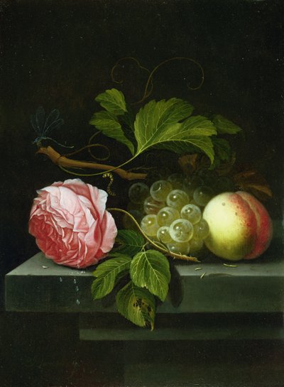 Ein Stillleben mit einer Rose, Trauben und Pfirsich, 17. Jahrhundert von Johannes Borman